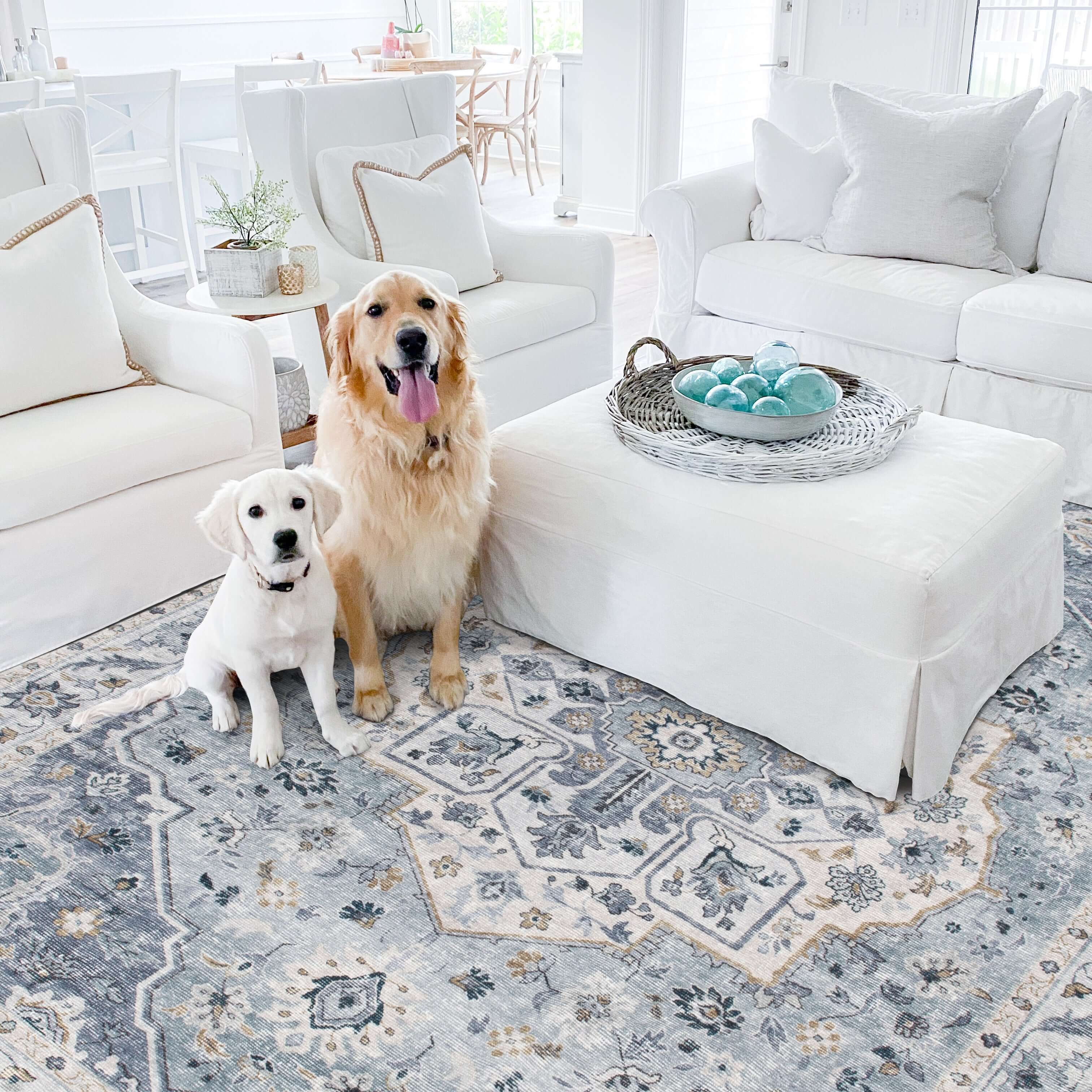Amara - Light Blue/Ivory - Image 3