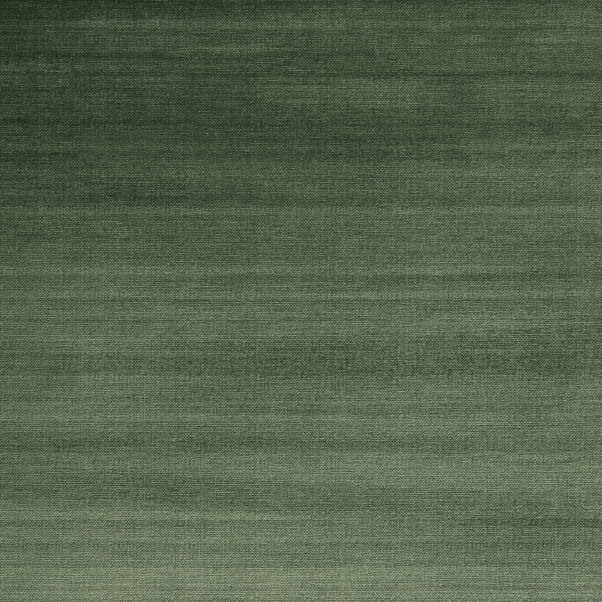 Auburn - Moss - Image 6
